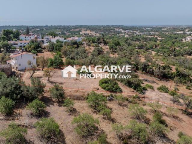 Loulé Algarve 93269870
