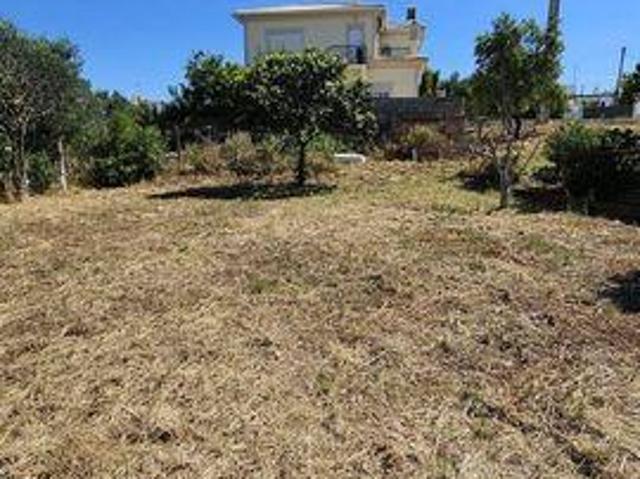 Loule Faro LS91994572