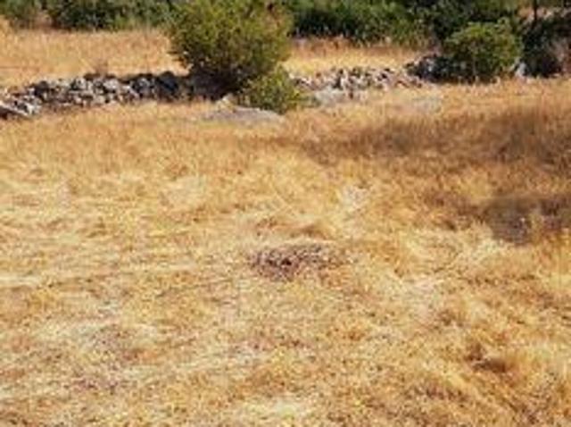Loule Faro LS94474343