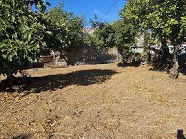 Loule Faro LS95040129