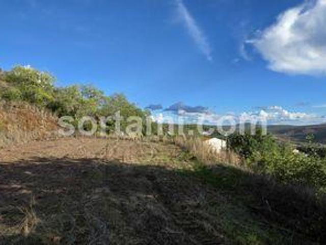 Loule Faro LS96471652