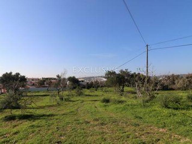 Loulé Faro LS96319830