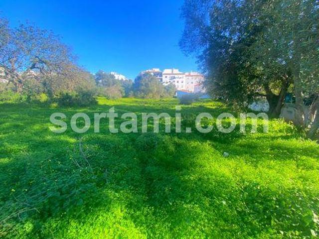 Loule Faro LS96331029