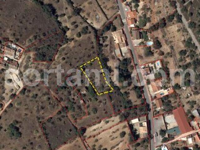 Loule Faro 101996587