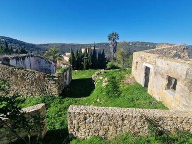 Loule FARO 102059869