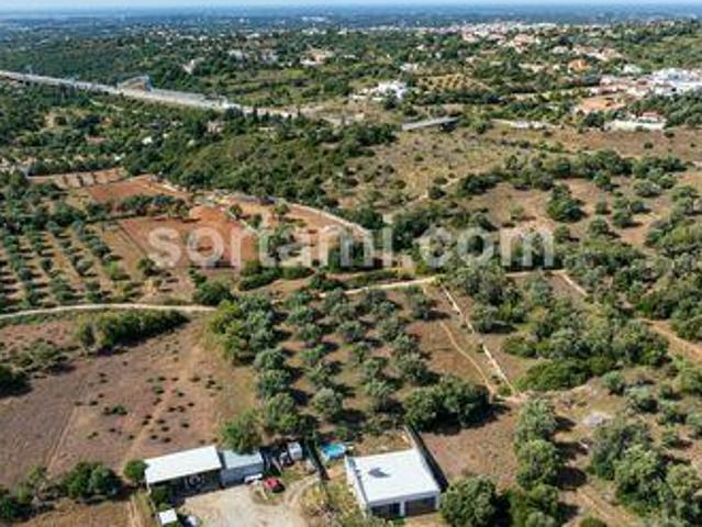Loule Faro 102759777