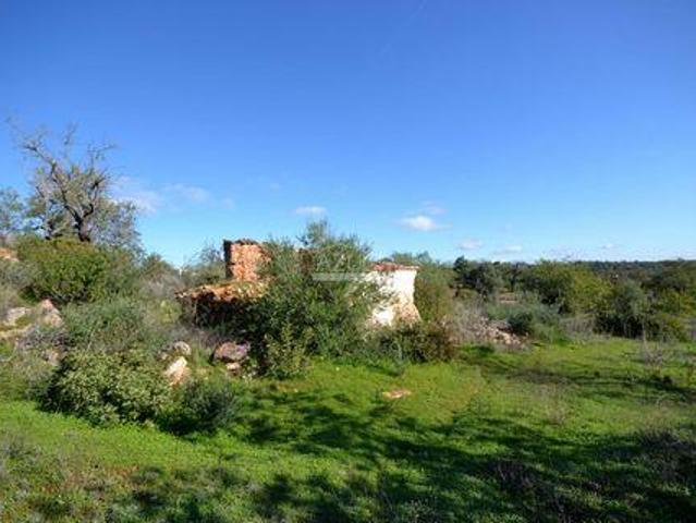 Loulé Faro 98061559