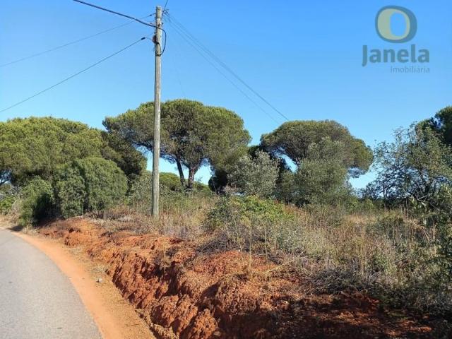 Loulé Loulé 92178580