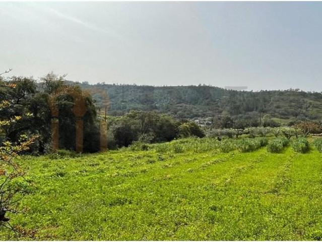 Loulé Loulé 94216156