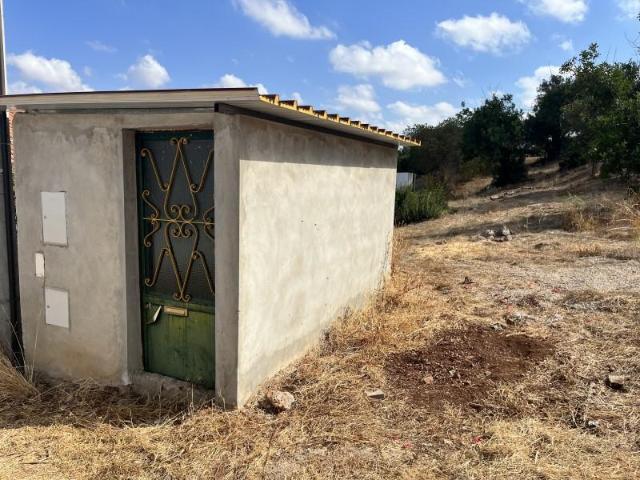 Loulé Loulé 95263779
