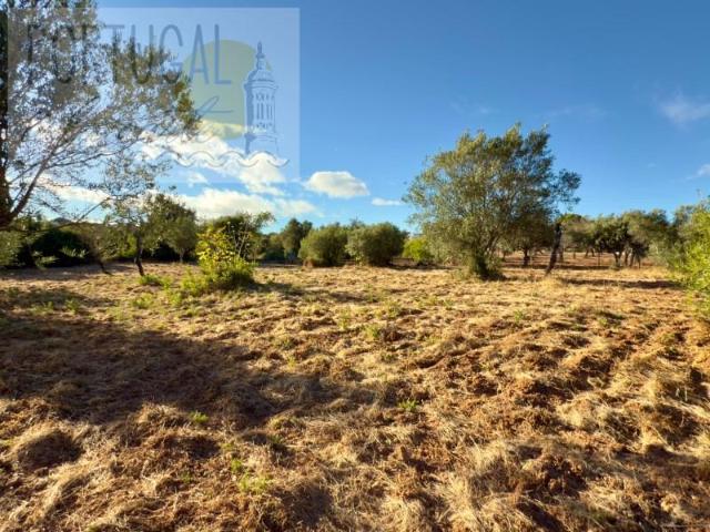 Loulé Loulé 95594377