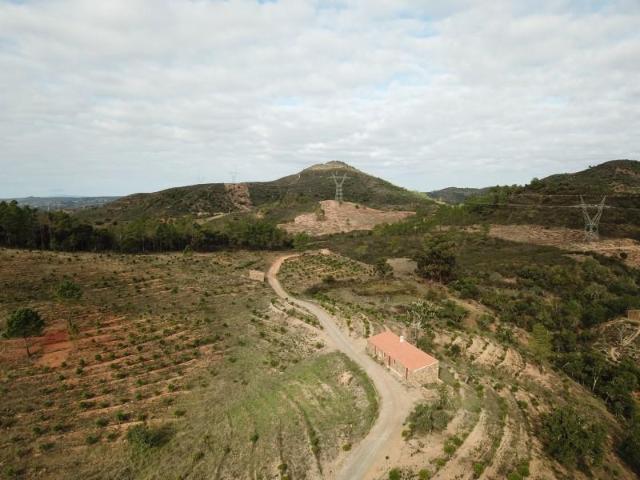 Loulé Loulé 98810330