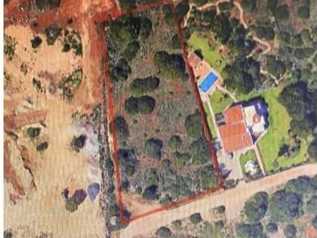 Loulé Loulé 99995815