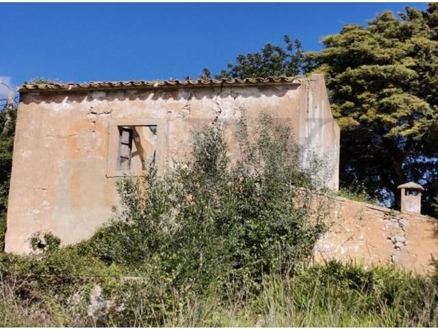 Loulé Loulé 100954871