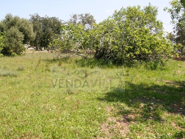 Loulé Loulé 103408168