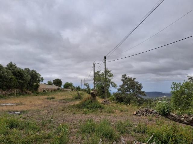 Loulé Loulé 103096850
