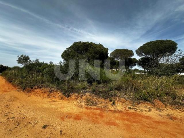 Loulé Loulé 104812342