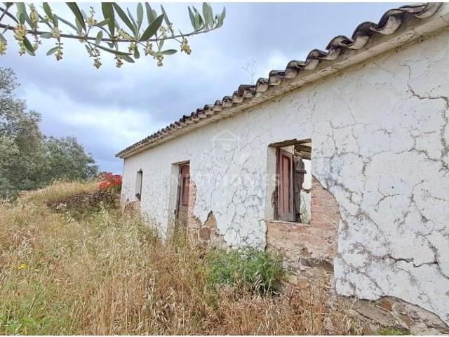 Loulé Loulé 104328372