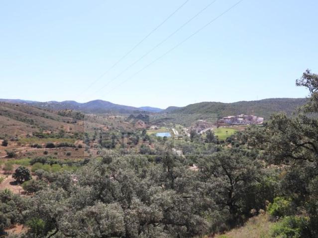 Loulé Loulé LS85987856