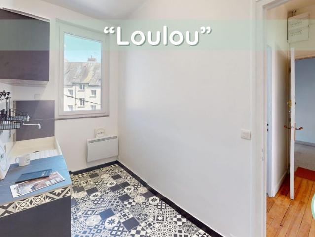 Loulou T2/T3 en ville avec cave
