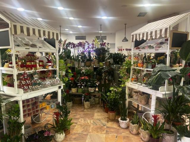 Loures Loures LS98492688