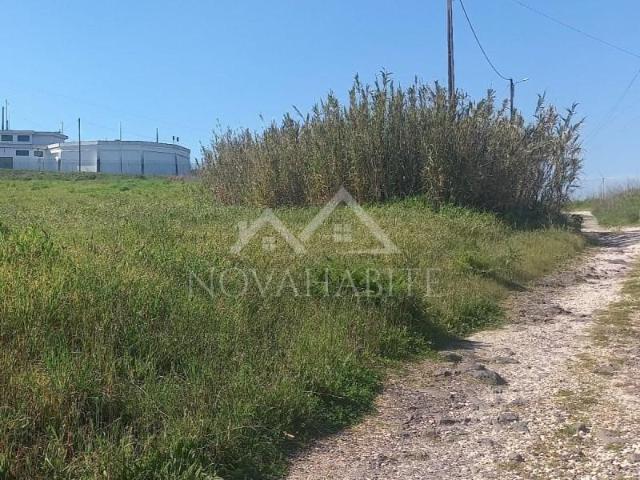 Loures Loures 99652740