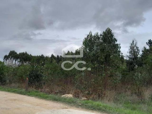 Lourinhã Lisboa 83583053
