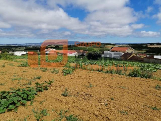 Lourinhã Lourinhã 104721341