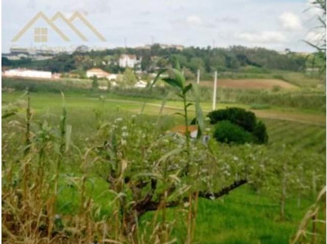 Lourinhã Lourinhã 101309932