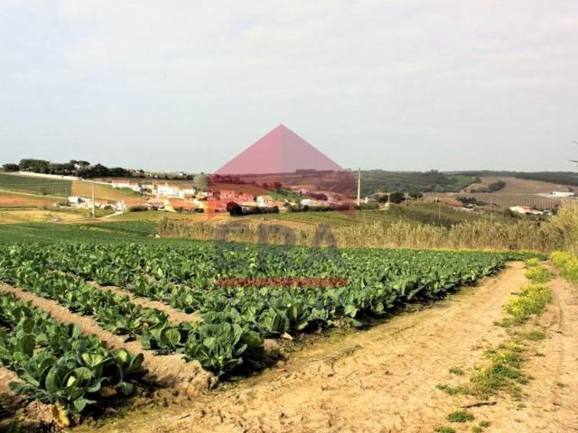 Lourinhã Lourinhã 102044568