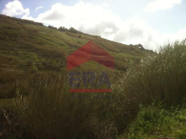 Lourinhã Lourinhã 103578441