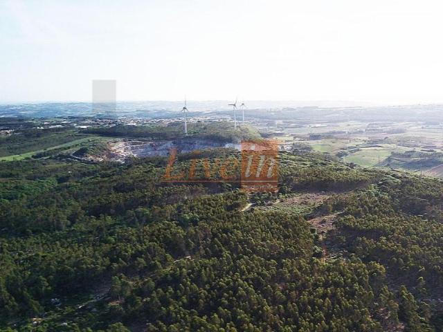 Lourinhã Lourinhã 103744460