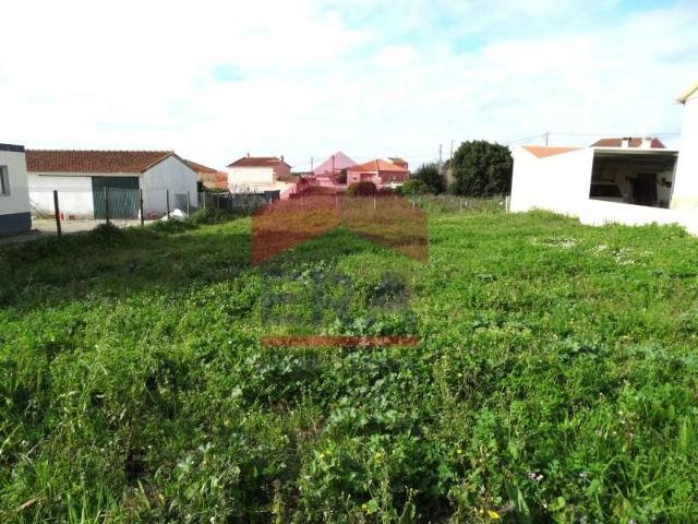 Lourinhã Lourinhã 87513188