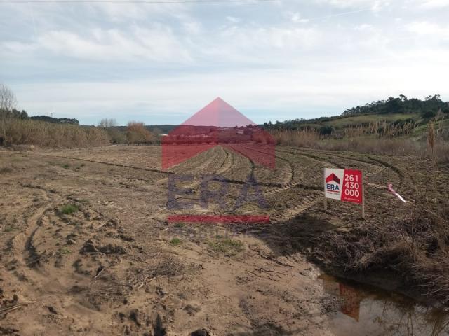 Lourinhã Lourinhã 87738509