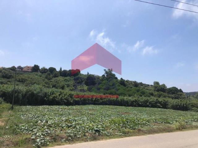 Lourinhã Lourinhã 87038992