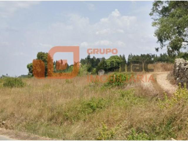 Lourinhã Lourinhã 90440872