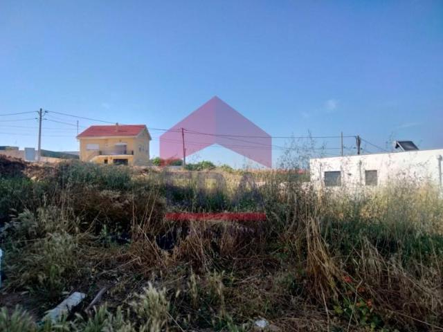 Lourinhã Lourinhã 91851395