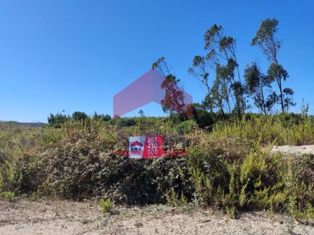 Lourinhã Lourinhã 92709621