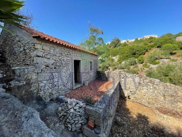 Lourinhã Lourinhã 92386229