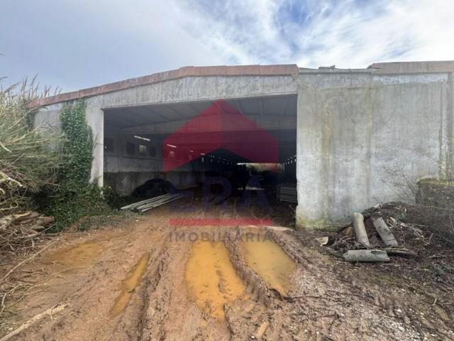 Lourinhã Lourinhã 97877890