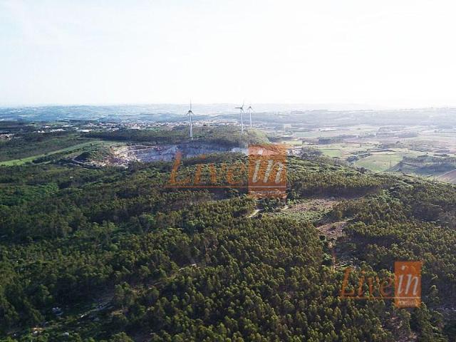 Lourinhã Lourinhã 97312540