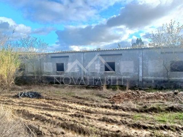 Lourinhã Lourinhã 98188080