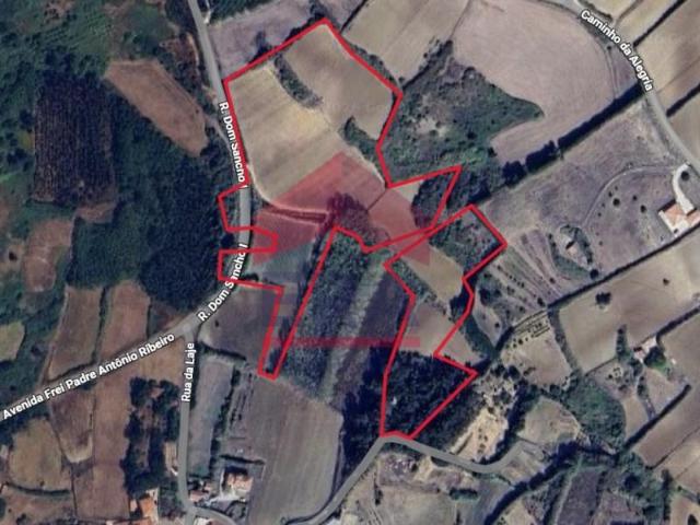 Lourinhã Lourinhã 99784776