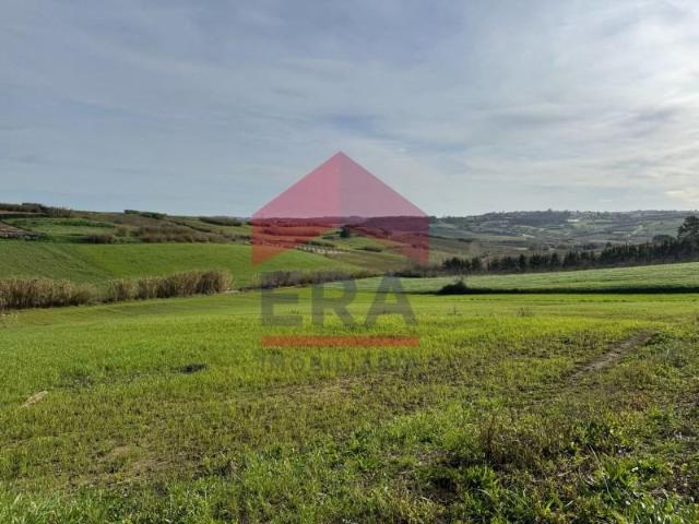 Lourinhã Lourinhã LS87522407
