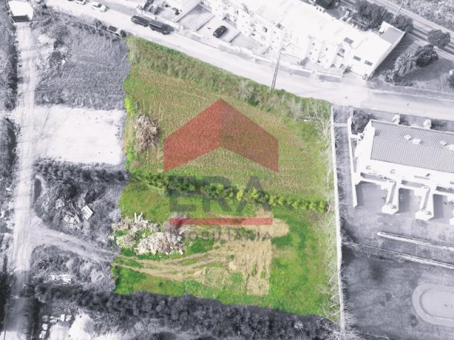 Lourinhã Lourinhã LS87772977