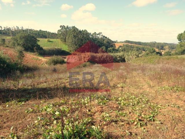 Lourinhã Lourinhã LS96495452