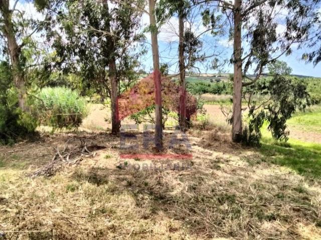 Lourinhã Lourinhã LS96937238