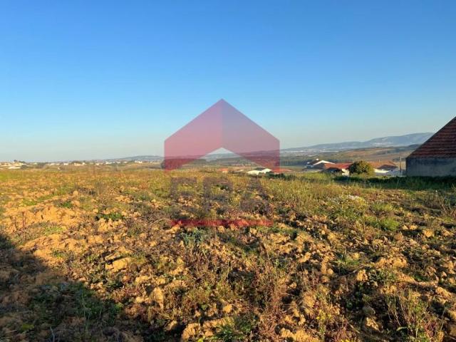 Lourinhã Lourinhã LS100628255