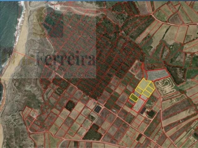 Lourinhã Lourinhã LS100127324