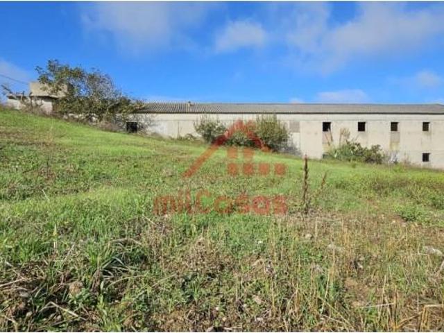 Lourinhã Lourinhã LS100360084